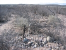 PICTURES/Fairbank Ghost Town/t_Cemetary grave 2.JPG